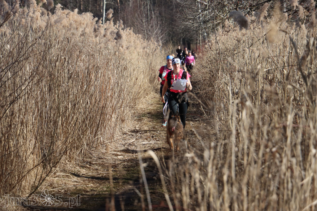 Fotorelacja I: Jurajski Dogtrekking w Myszkowie