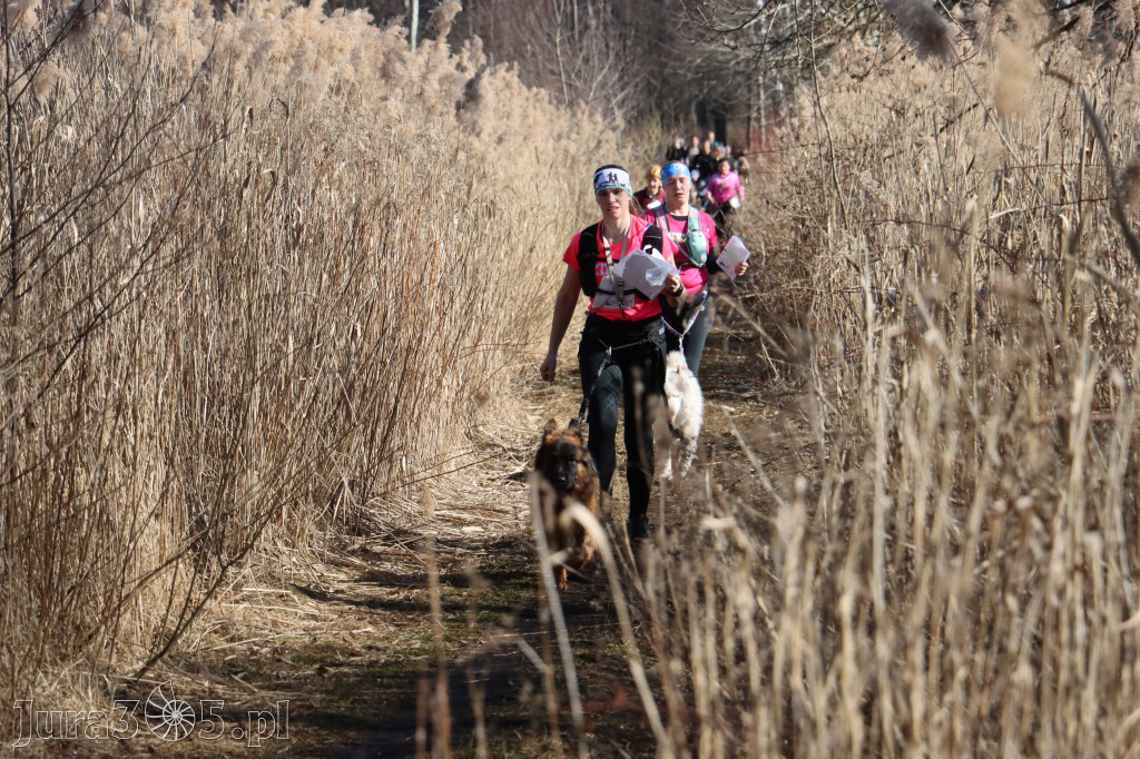 Fotorelacja I: Jurajski Dogtrekking w Myszkowie
