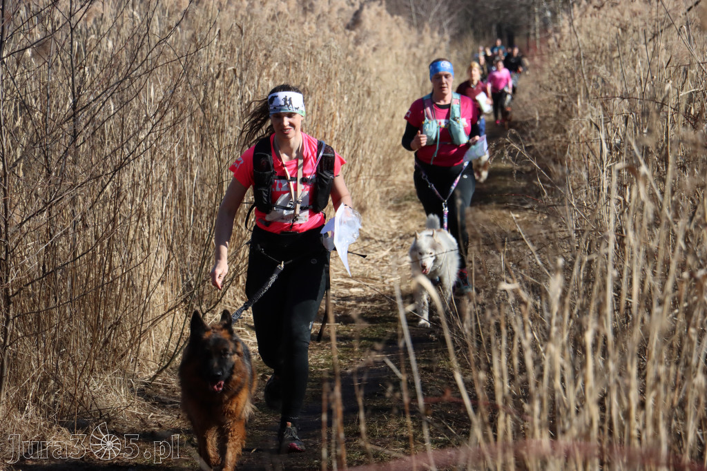 Fotorelacja I: Jurajski Dogtrekking w Myszkowie