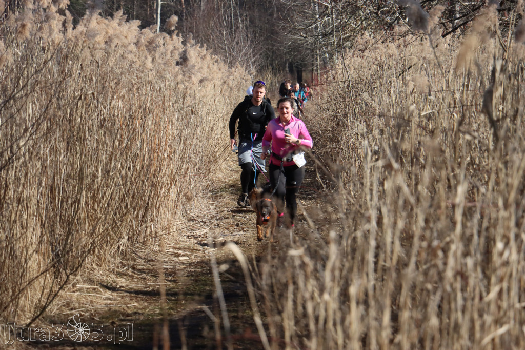 Fotorelacja I: Jurajski Dogtrekking w Myszkowie