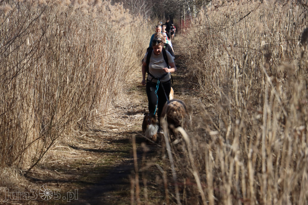 Fotorelacja I: Jurajski Dogtrekking w Myszkowie