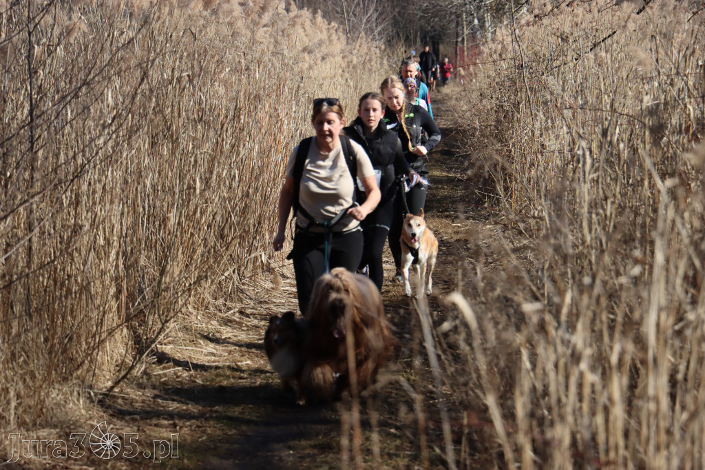 Fotorelacja I: Jurajski Dogtrekking w Myszkowie