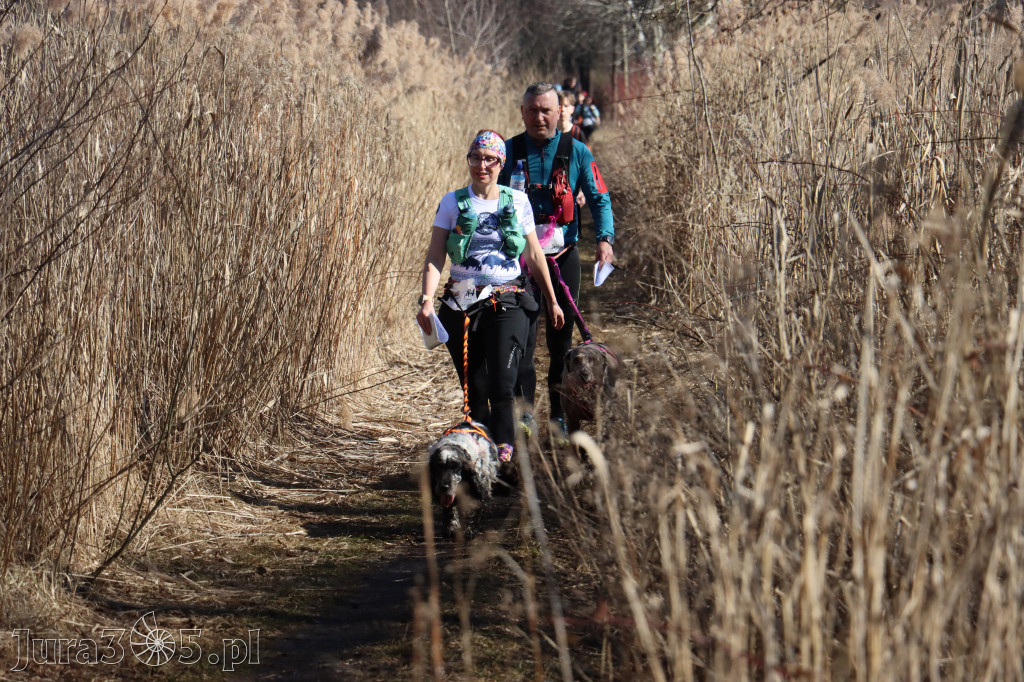 Fotorelacja I: Jurajski Dogtrekking w Myszkowie