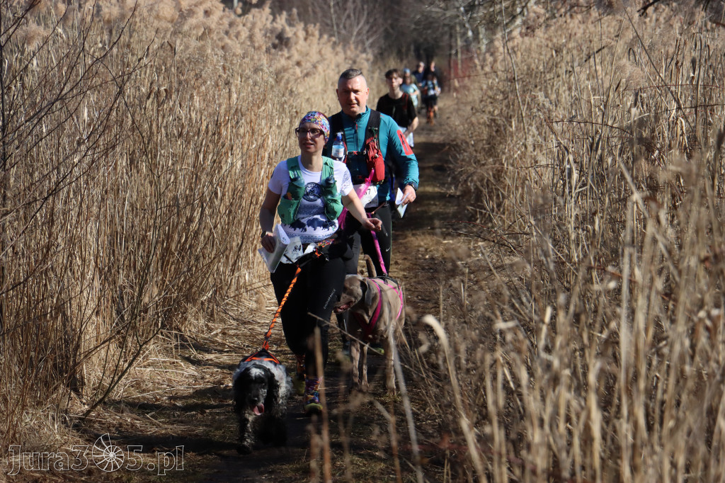 Fotorelacja I: Jurajski Dogtrekking w Myszkowie