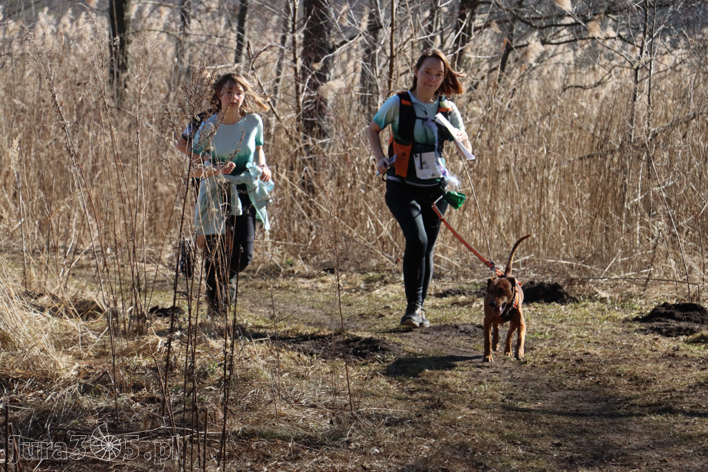 Fotorelacja I: Jurajski Dogtrekking w Myszkowie