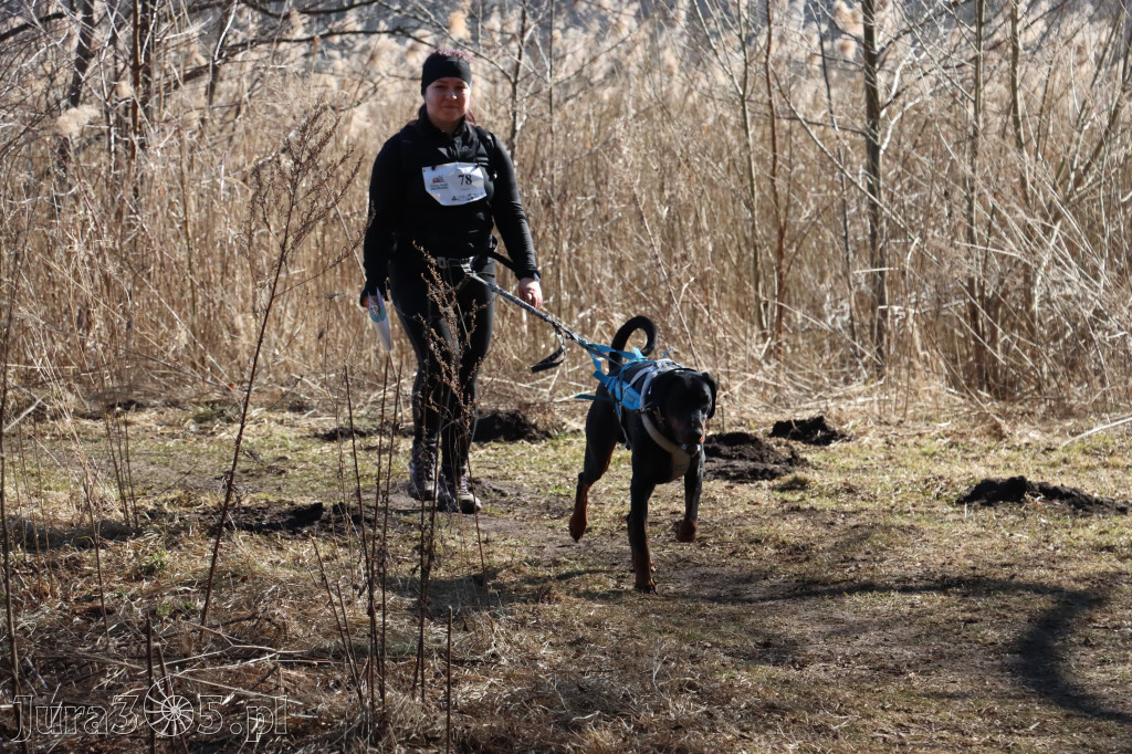 Fotorelacja I: Jurajski Dogtrekking w Myszkowie