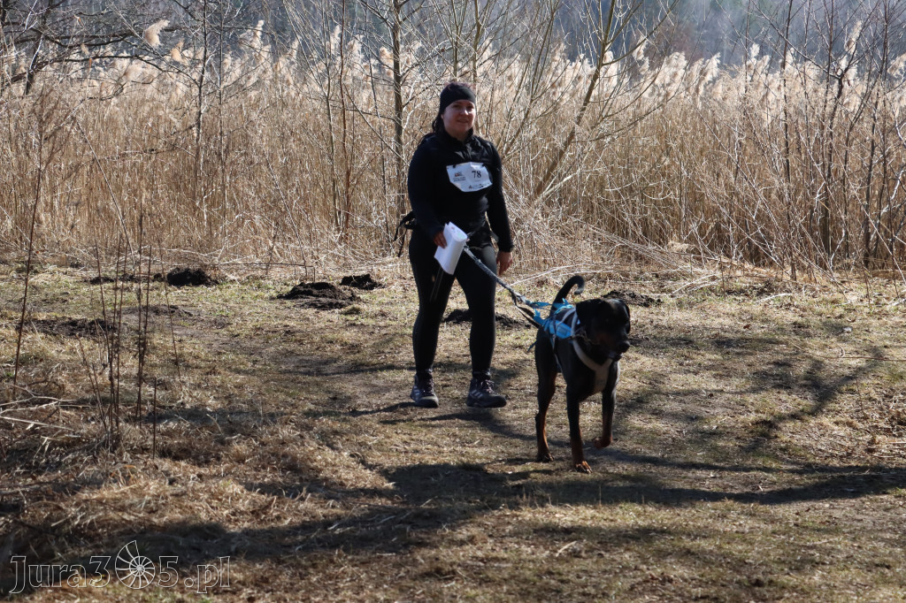Fotorelacja I: Jurajski Dogtrekking w Myszkowie