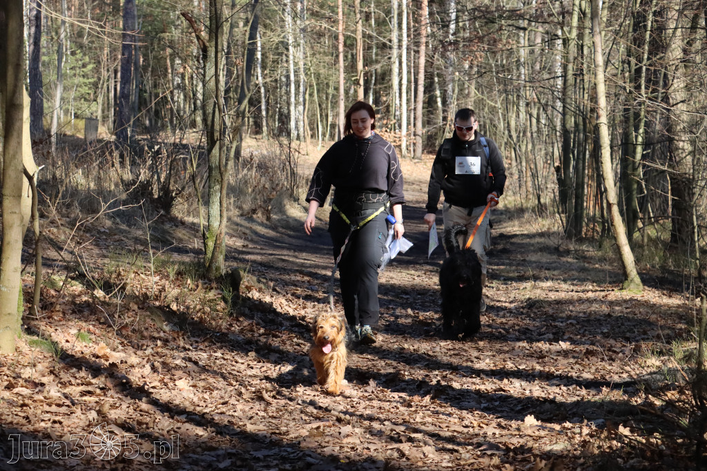 Fotorelacja I: Jurajski Dogtrekking w Myszkowie