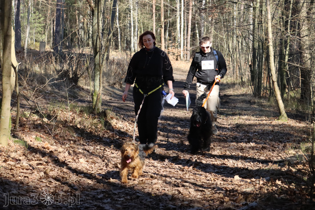 Fotorelacja I: Jurajski Dogtrekking w Myszkowie