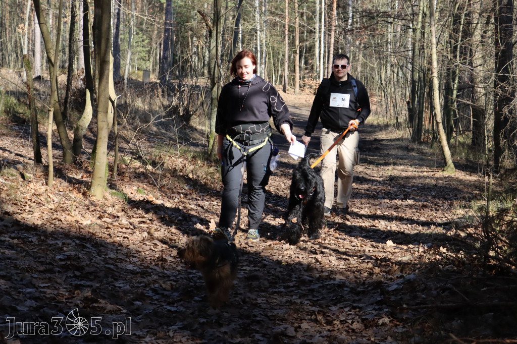Fotorelacja I: Jurajski Dogtrekking w Myszkowie