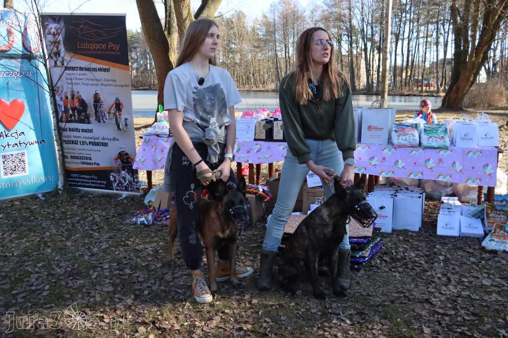 Fotorelacja II: Jurajski Dogtrekking w Myszkowie