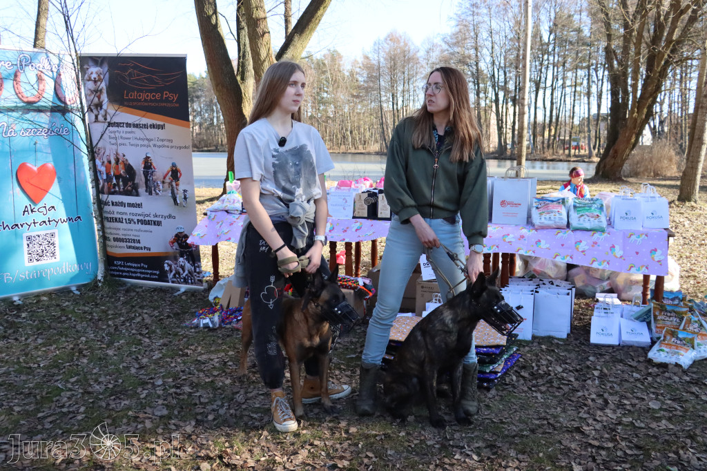 Fotorelacja II: Jurajski Dogtrekking w Myszkowie