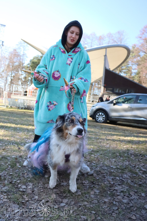 Fotorelacja II: Jurajski Dogtrekking w Myszkowie