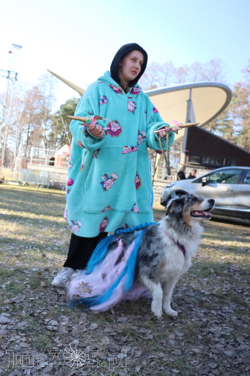 Fotorelacja II: Jurajski Dogtrekking w Myszkowie