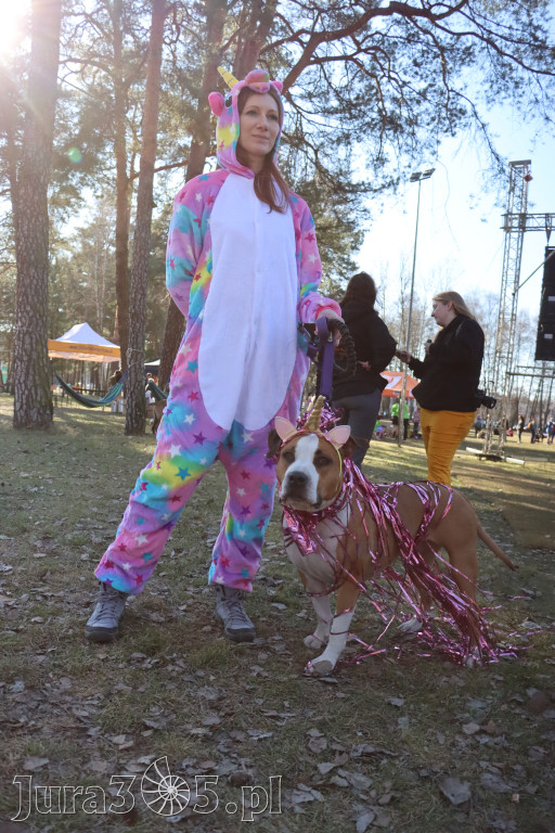 Fotorelacja II: Jurajski Dogtrekking w Myszkowie