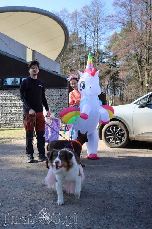 Fotorelacja II: Jurajski Dogtrekking w Myszkowie