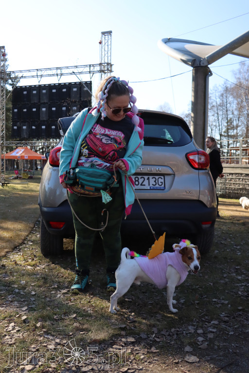 Fotorelacja II: Jurajski Dogtrekking w Myszkowie