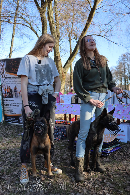 Fotorelacja II: Jurajski Dogtrekking w Myszkowie