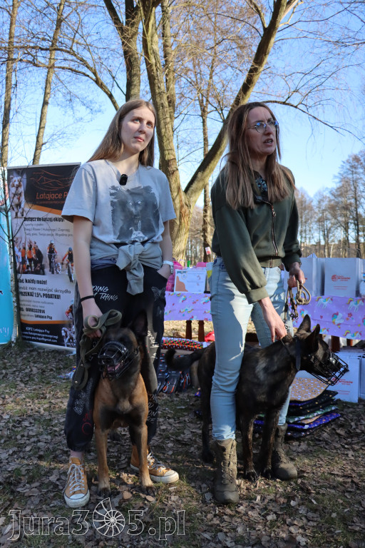 Fotorelacja II: Jurajski Dogtrekking w Myszkowie
