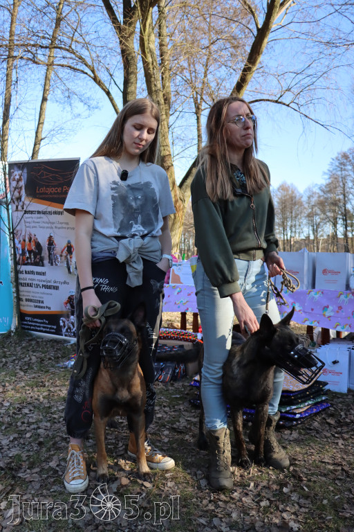 Fotorelacja II: Jurajski Dogtrekking w Myszkowie