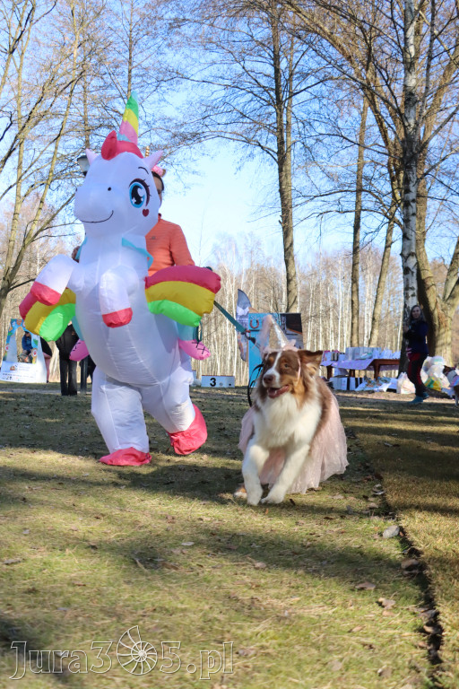 Fotorelacja II: Jurajski Dogtrekking w Myszkowie