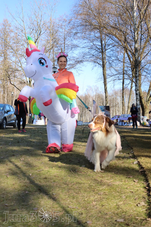Fotorelacja II: Jurajski Dogtrekking w Myszkowie