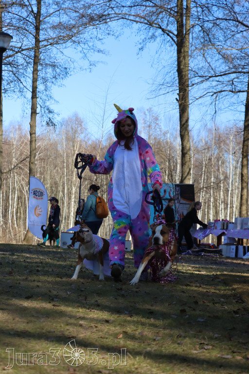 Fotorelacja II: Jurajski Dogtrekking w Myszkowie