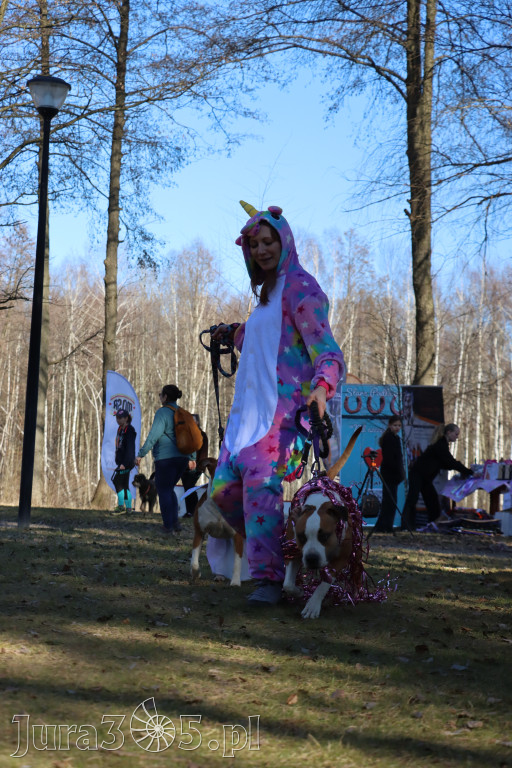 Fotorelacja II: Jurajski Dogtrekking w Myszkowie