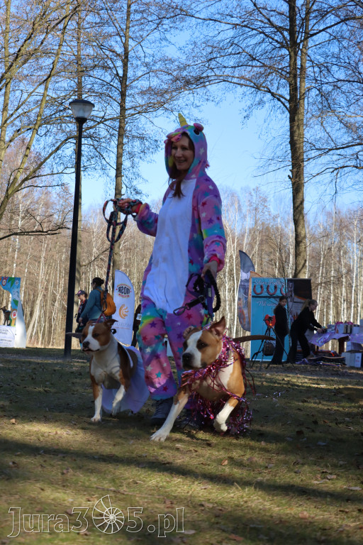 Fotorelacja II: Jurajski Dogtrekking w Myszkowie