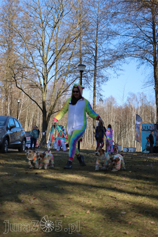Fotorelacja II: Jurajski Dogtrekking w Myszkowie