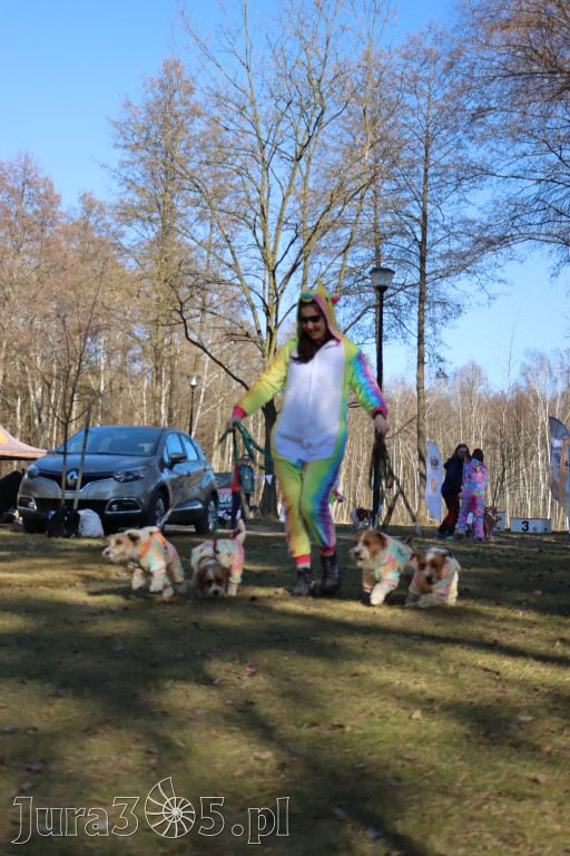 Fotorelacja II: Jurajski Dogtrekking w Myszkowie
