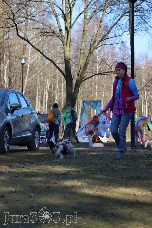 Fotorelacja II: Jurajski Dogtrekking w Myszkowie