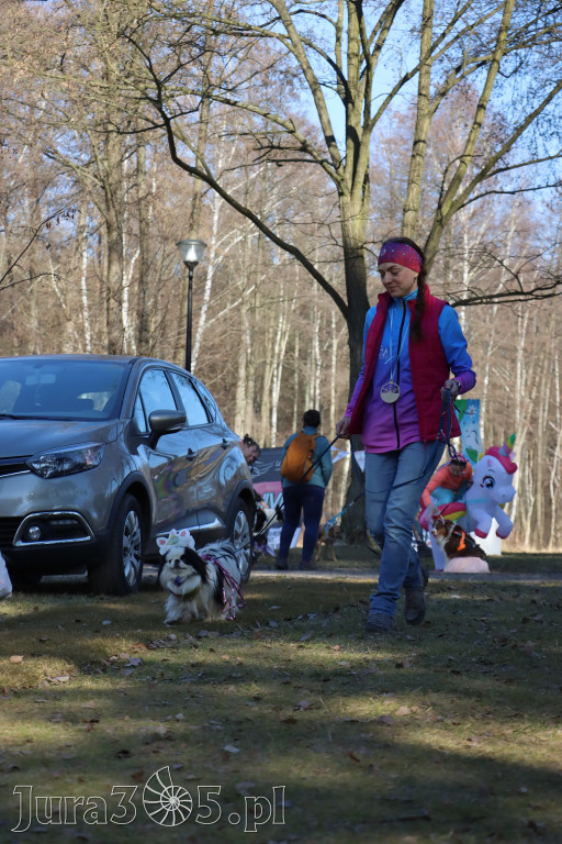 Fotorelacja II: Jurajski Dogtrekking w Myszkowie