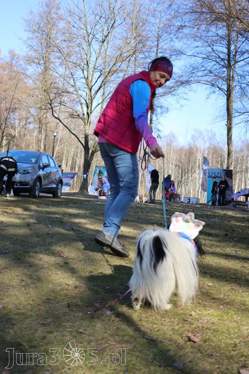 Fotorelacja II: Jurajski Dogtrekking w Myszkowie
