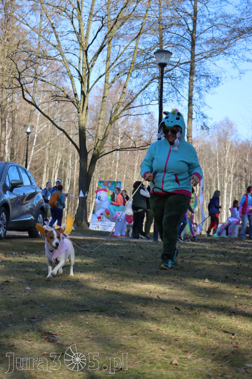 Fotorelacja II: Jurajski Dogtrekking w Myszkowie