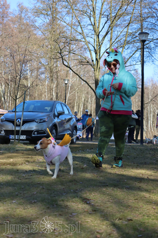 Fotorelacja II: Jurajski Dogtrekking w Myszkowie