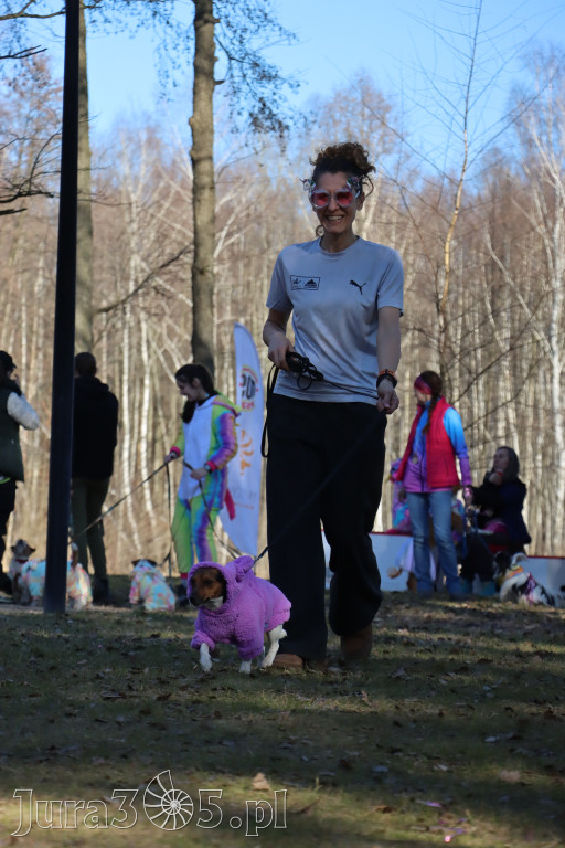 Fotorelacja II: Jurajski Dogtrekking w Myszkowie