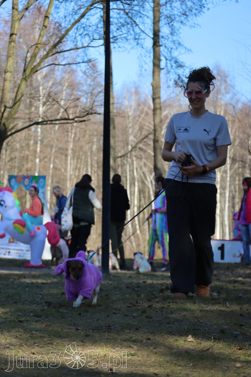 Fotorelacja II: Jurajski Dogtrekking w Myszkowie