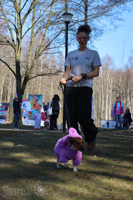 Fotorelacja II: Jurajski Dogtrekking w Myszkowie