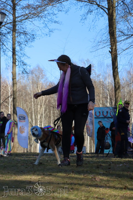 Fotorelacja II: Jurajski Dogtrekking w Myszkowie