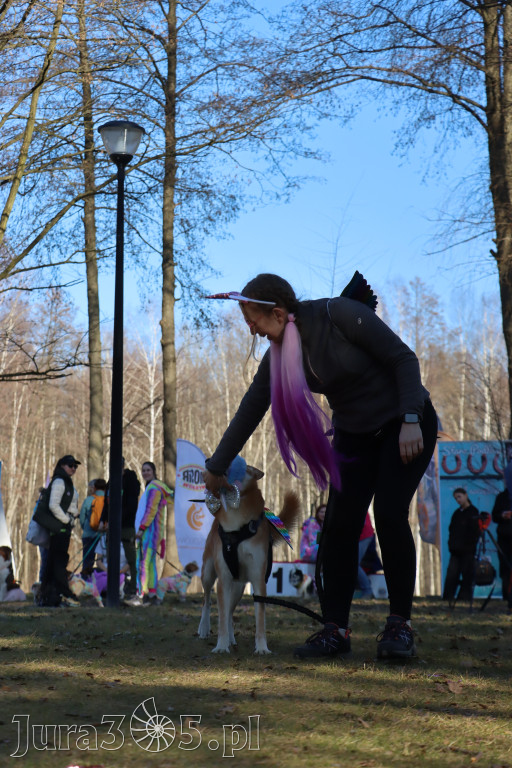 Fotorelacja II: Jurajski Dogtrekking w Myszkowie