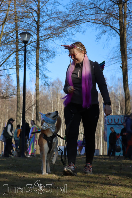 Fotorelacja II: Jurajski Dogtrekking w Myszkowie