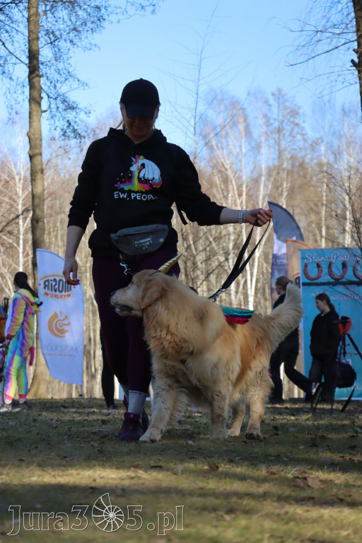 Fotorelacja II: Jurajski Dogtrekking w Myszkowie