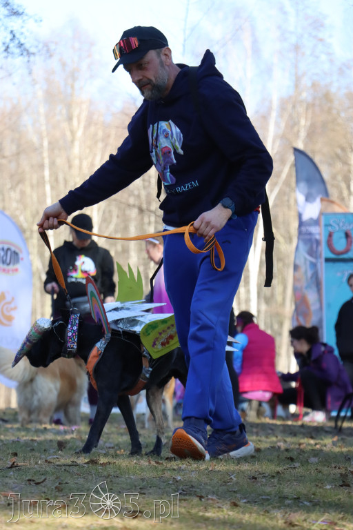 Fotorelacja II: Jurajski Dogtrekking w Myszkowie