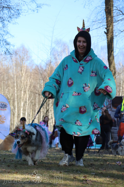 Fotorelacja II: Jurajski Dogtrekking w Myszkowie