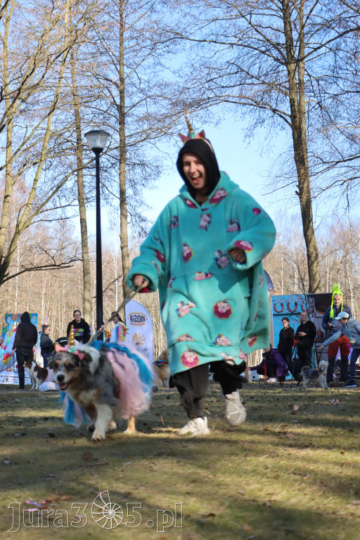 Fotorelacja II: Jurajski Dogtrekking w Myszkowie