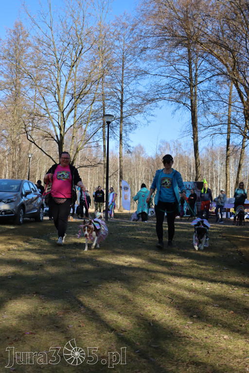 Fotorelacja II: Jurajski Dogtrekking w Myszkowie