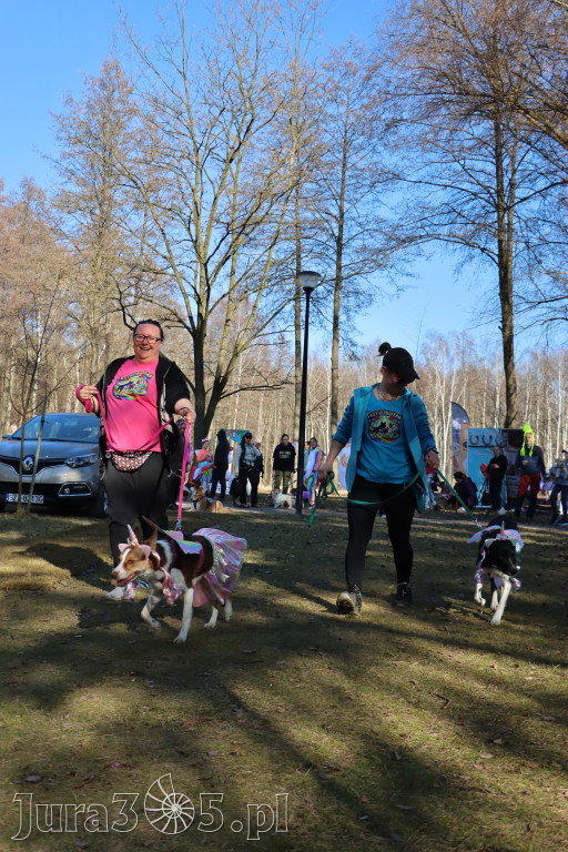 Fotorelacja II: Jurajski Dogtrekking w Myszkowie