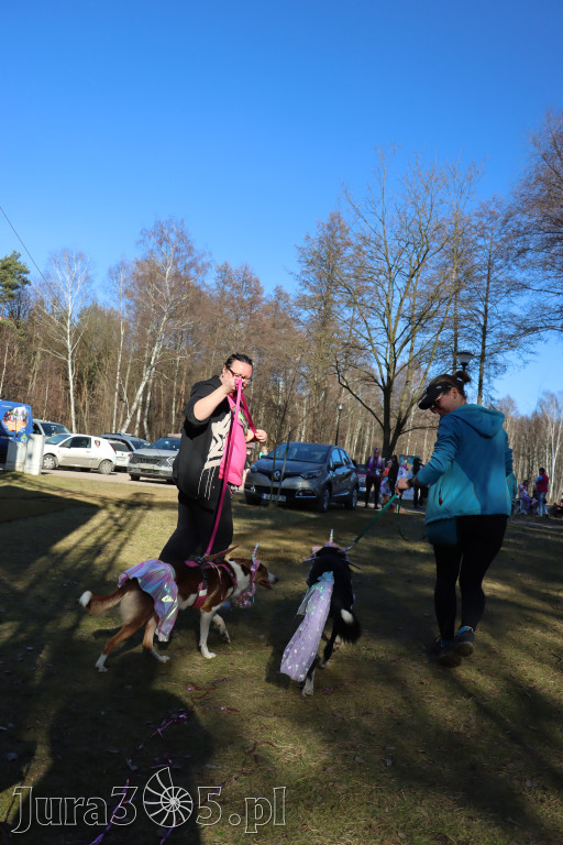 Fotorelacja II: Jurajski Dogtrekking w Myszkowie