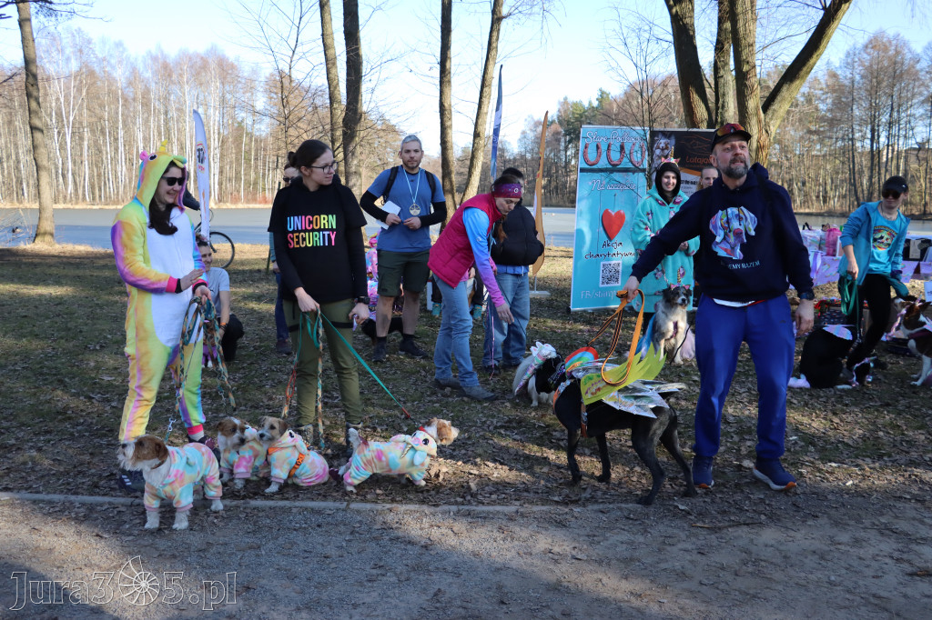 Fotorelacja II: Jurajski Dogtrekking w Myszkowie